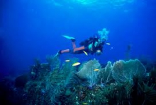 Buceo en Cienfuegos