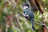 Reserva de la Biosfera Pennsula de Guanahacabibes